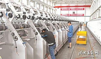 行业小巨人阔步高精尖 宜昌隐形冠军引领高质量发展